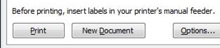 Options button in Envelopes and Labels dialog box