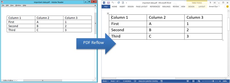 Screenshot of how a table from a PDF file looks after opening in Word