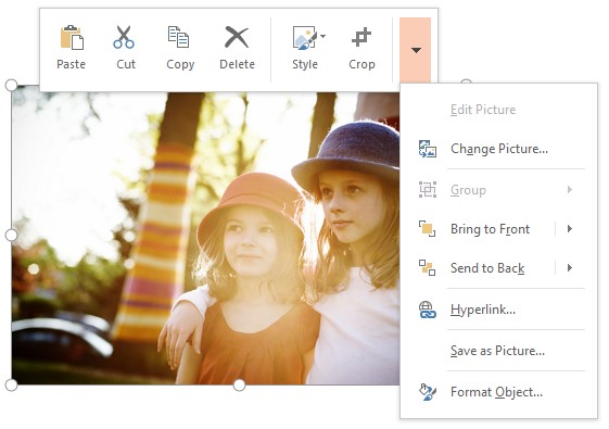 Screenshot of a picture with the Minibar and context menu open