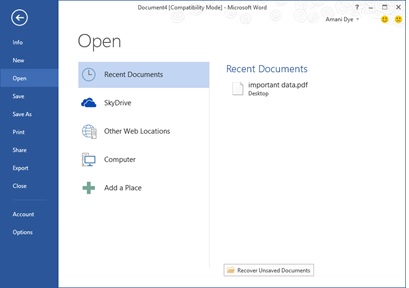 Screenshot of the Open place in Word