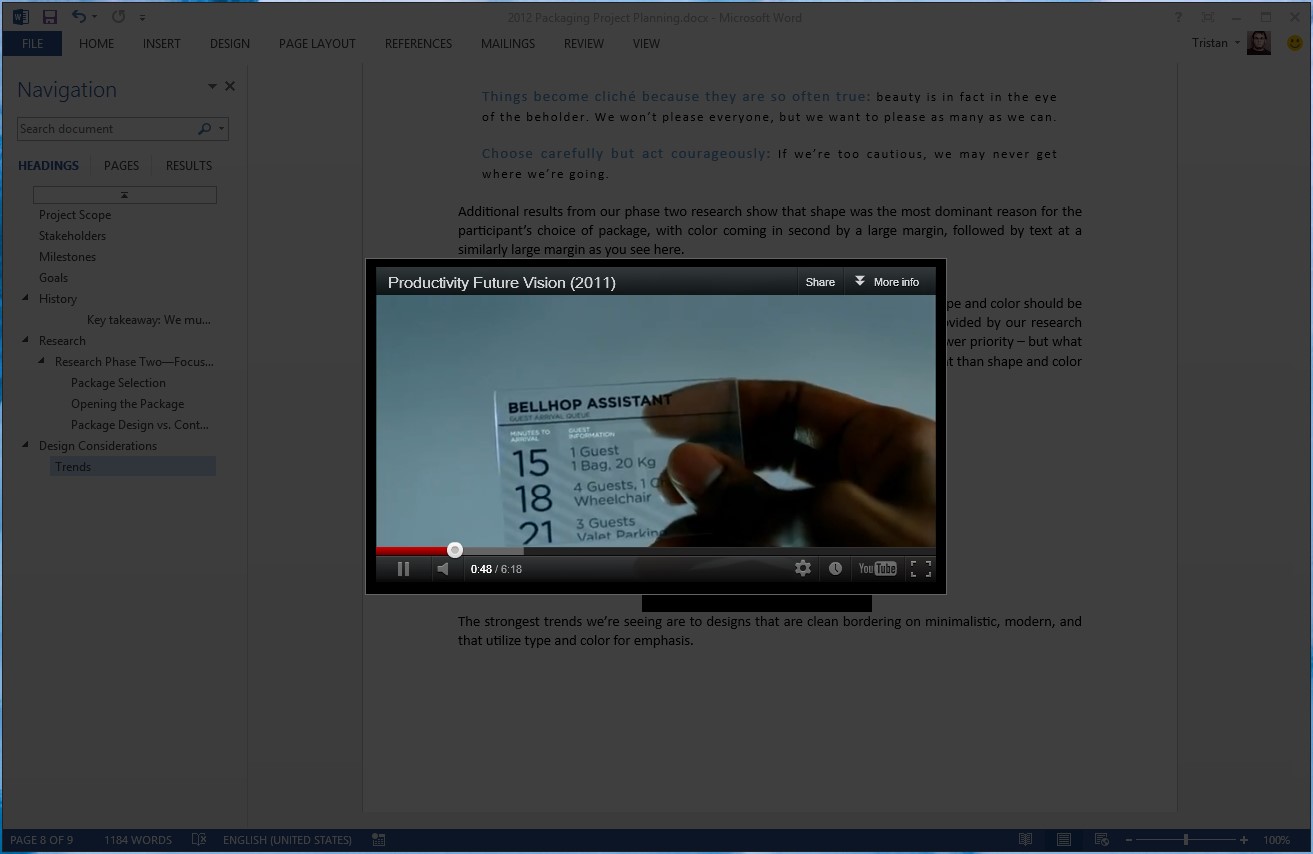 Screenshot of an embedded video playing in Word