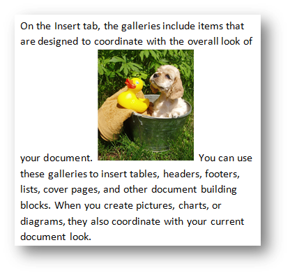 Puppy with rubber duck by Fotolia at Office.com/images