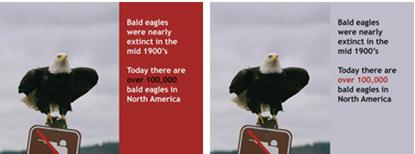 2 slides with background color added